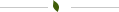 Light green White Leaf Divider